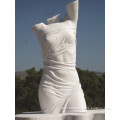 contemporary sculpture famous garden decor white marble nude women statue
